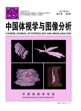 《中国体视学与图像分析》