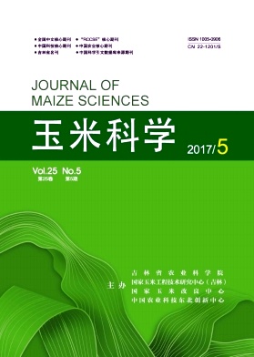 玉米科学.jpg